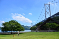 29-15記念公園から眺む大橋.JPG
